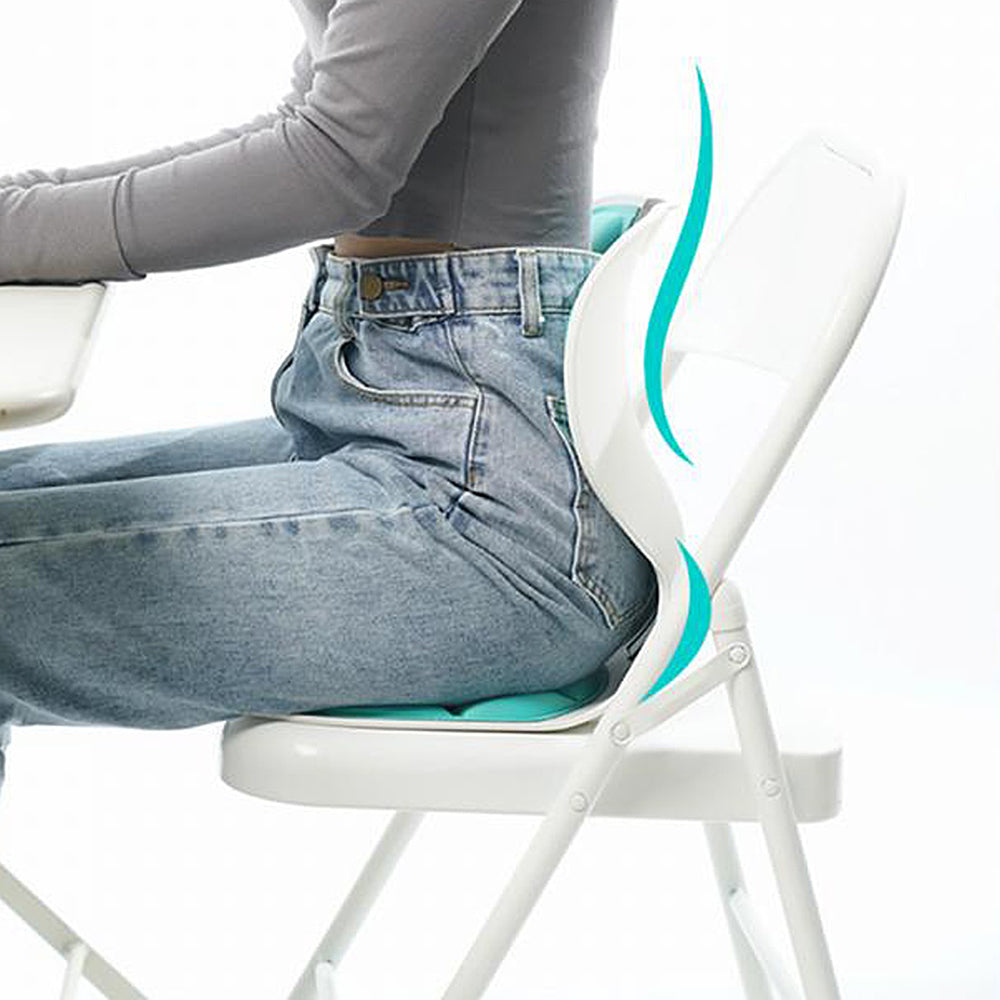 Posture Pro Lumbar Support