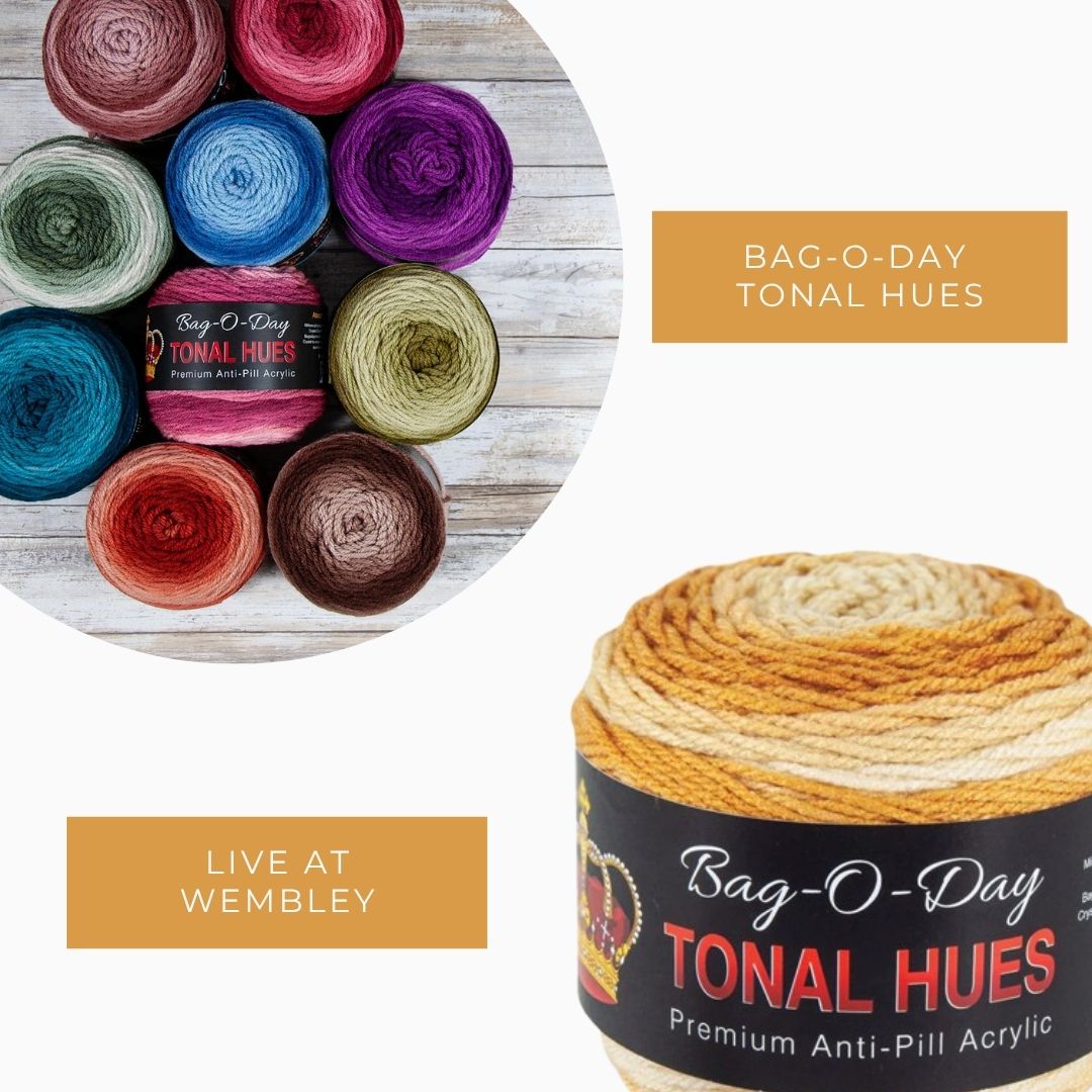 Bag-O-Day Tonal Hues Yarn