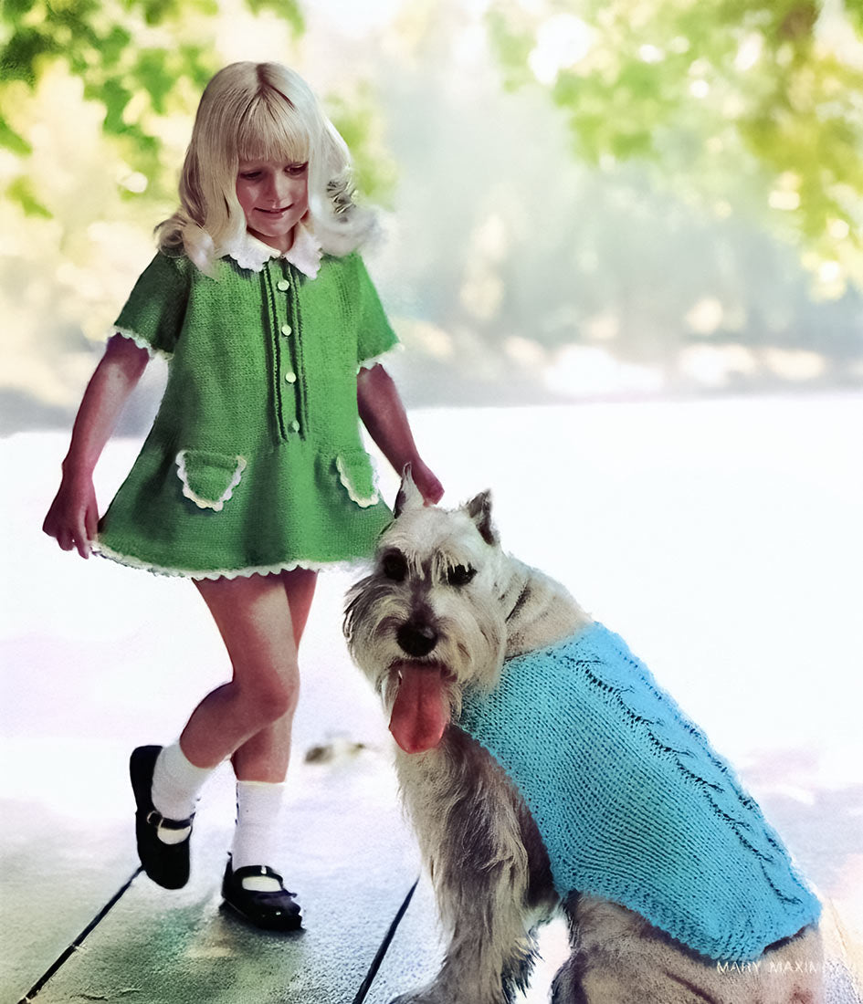 Coupe-vent pour chien avec motif de câbles