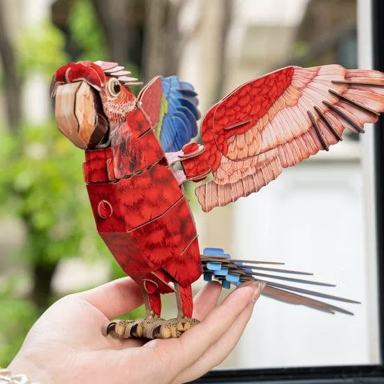 Macaw 3D Bird Puzzle
