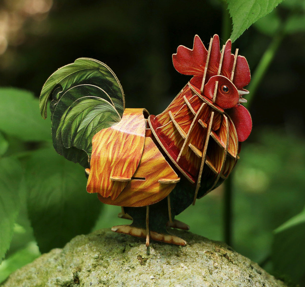Rooster Voices of Nature Wood Model Kit