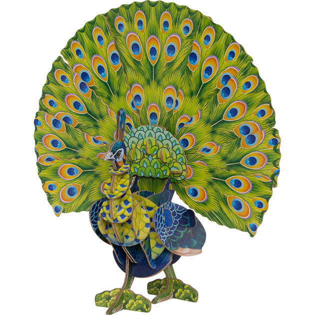 Peacock Voices of Nature Wood Model Kit