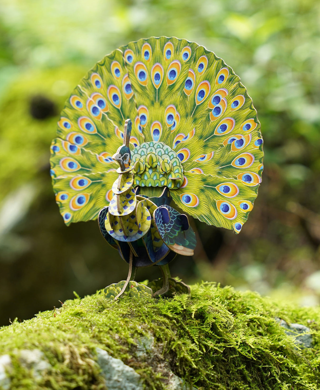 Peacock Voices of Nature Wood Model Kit