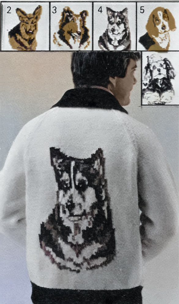 Modèle de cardigan tête de chien