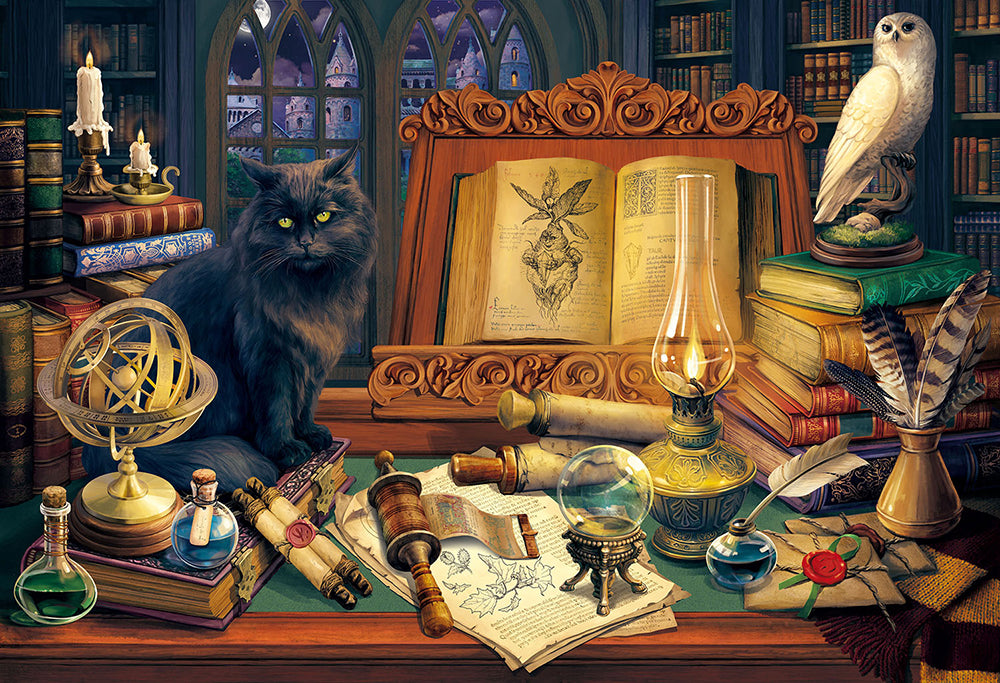 Magic Library Jigsaw Puzzle