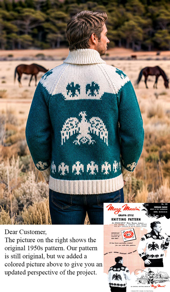 Modèle de cardigan indien aigle pour hommes