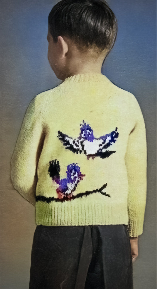 Bluebirds Cardigan Pattern