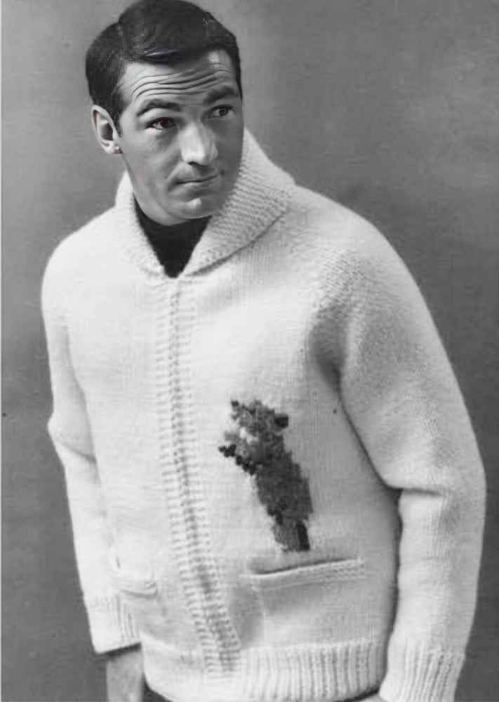 Modèle de cardigan ours et oursons pour hommes