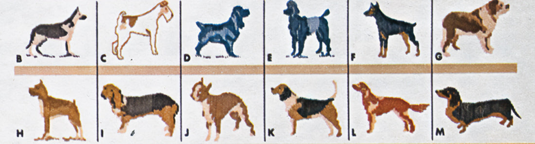 Man's Best Friend Cardigan Pattern