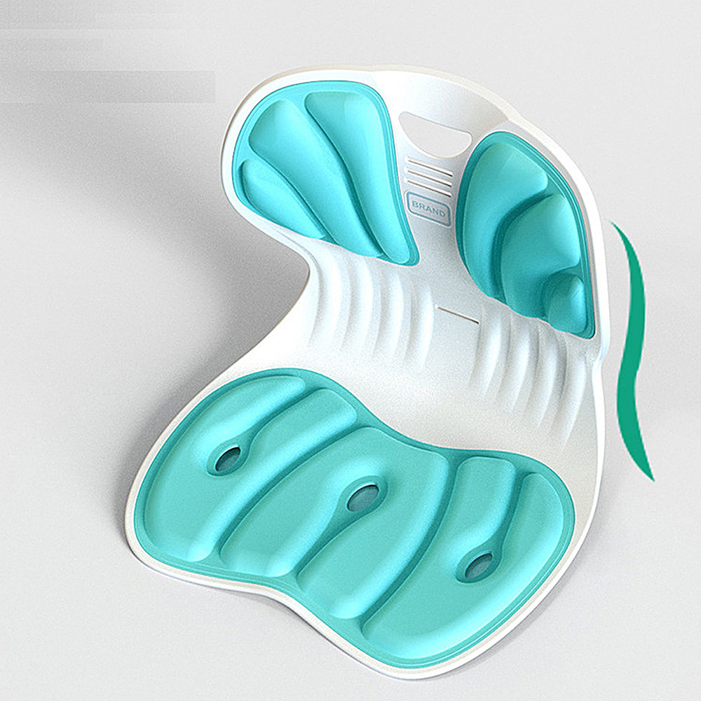 Posture Pro Lumbar Support