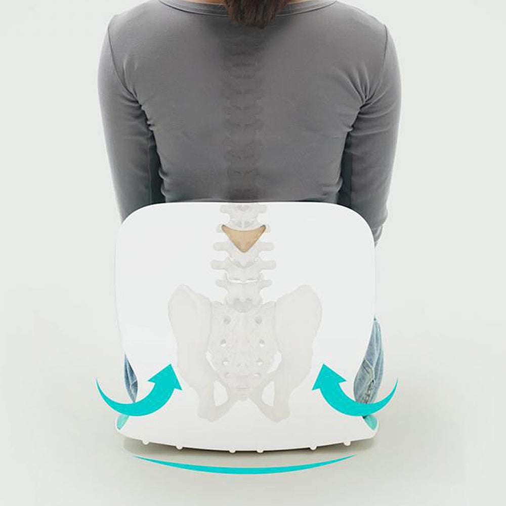 Posture Pro Lumbar Support