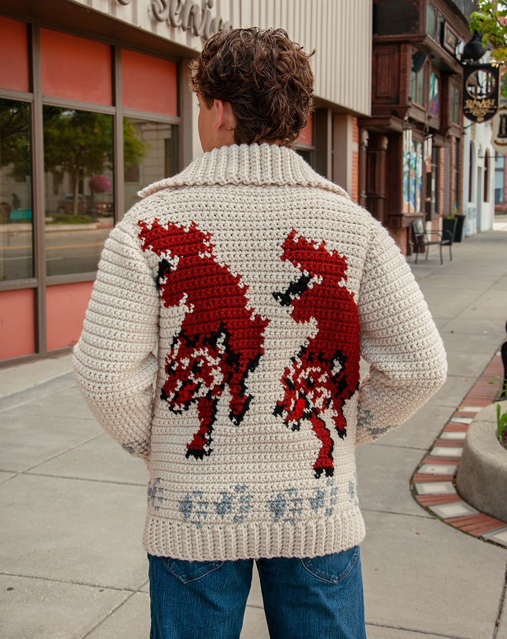 Wolf Cardigan Crochet Kit | Project Hail Mary Fox Sweater