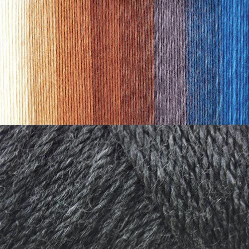 Sholach dans les bois afghan