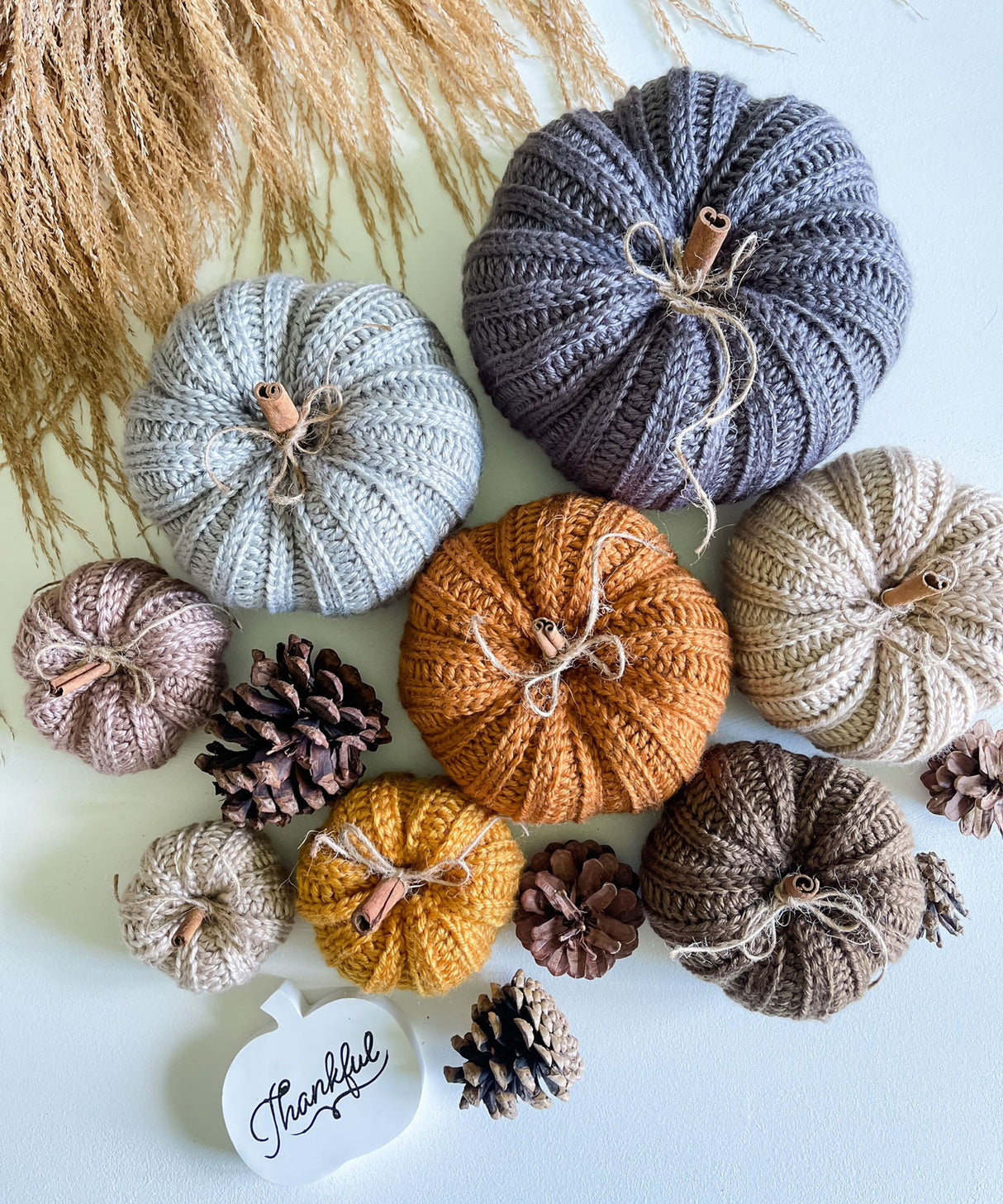 Country Harvest Pumpkins