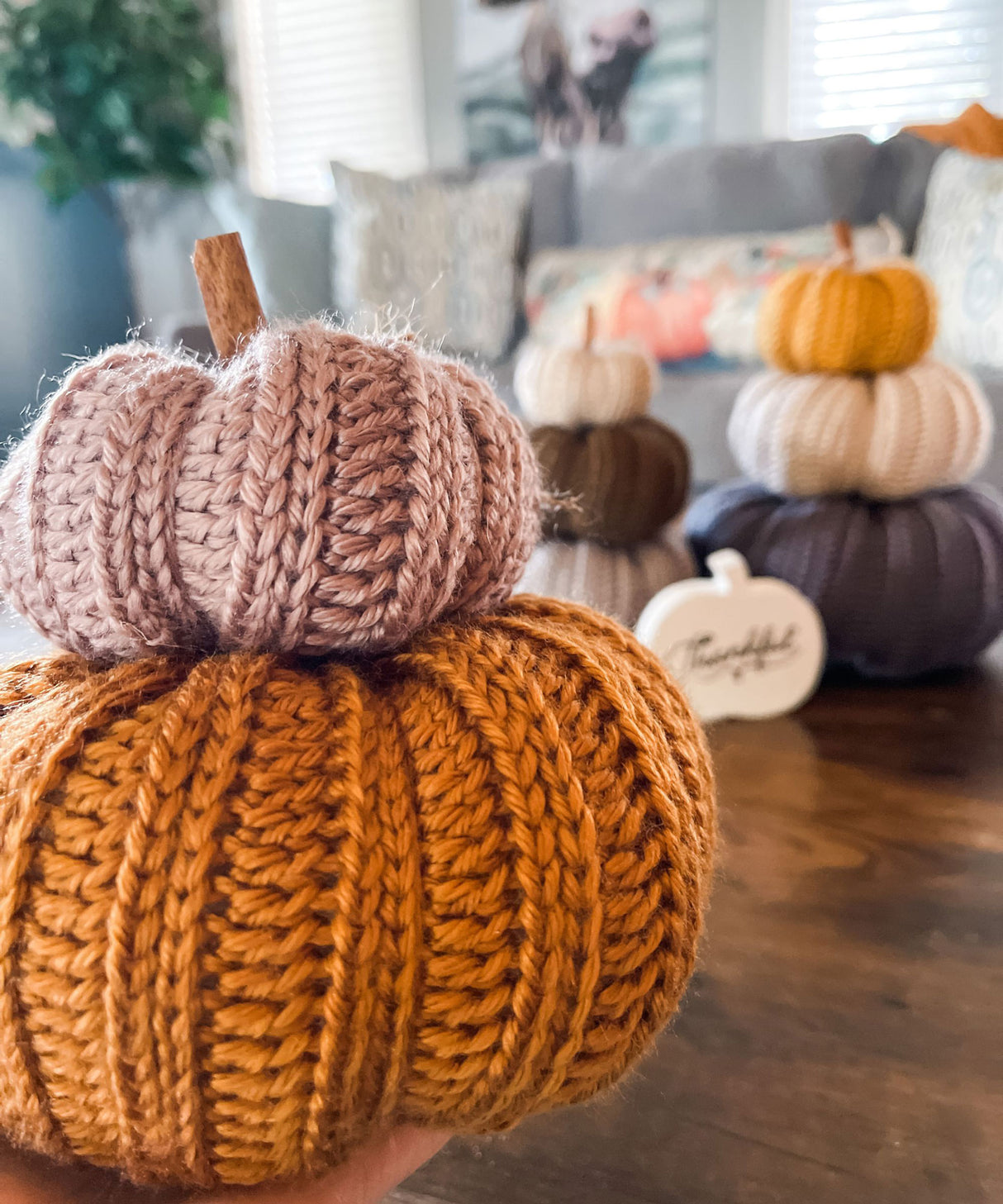 Country Harvest Pumpkins