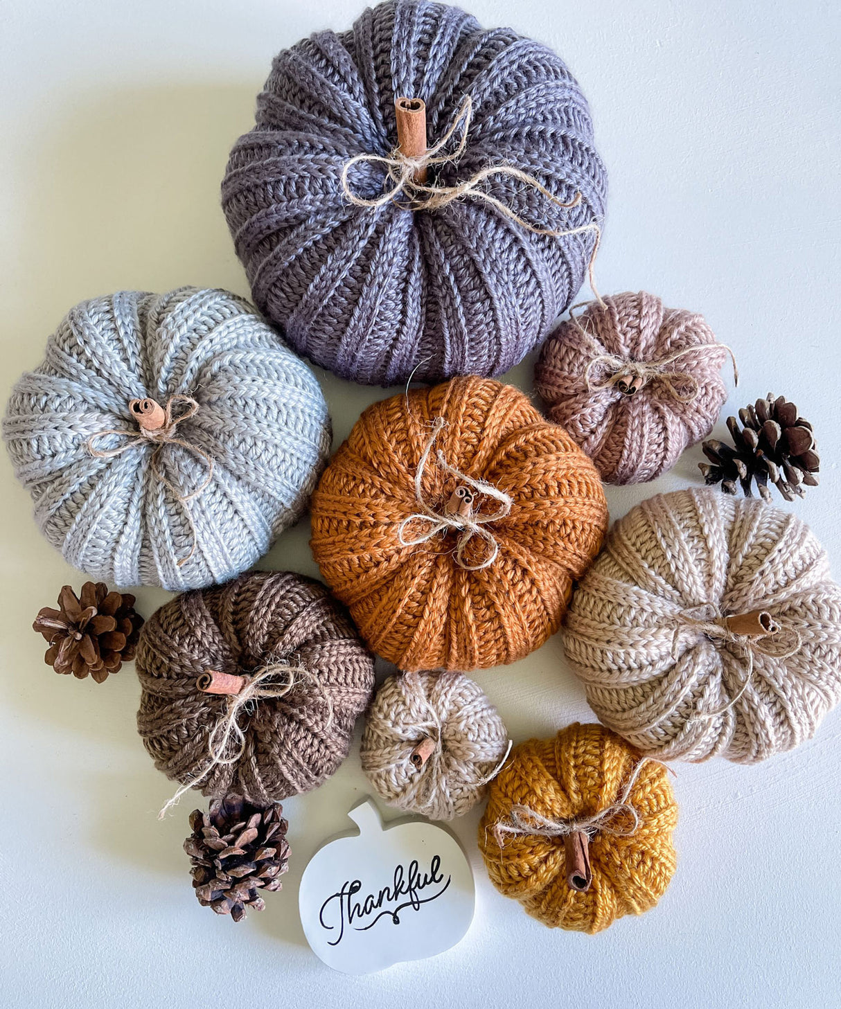 Country Harvest Pumpkins