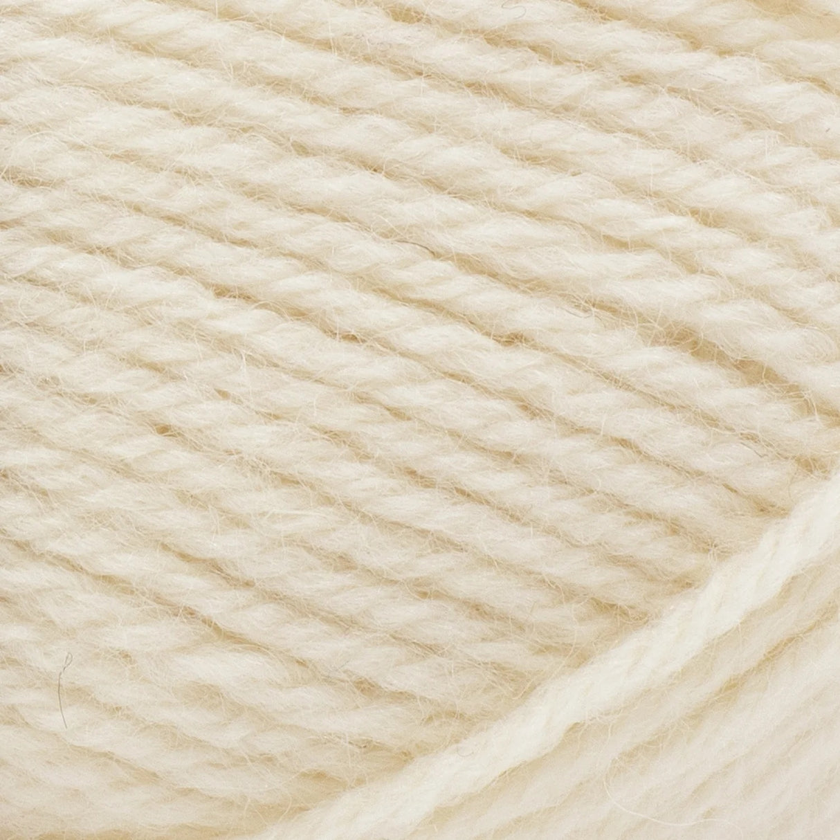 Cardigan Femme Torsadé