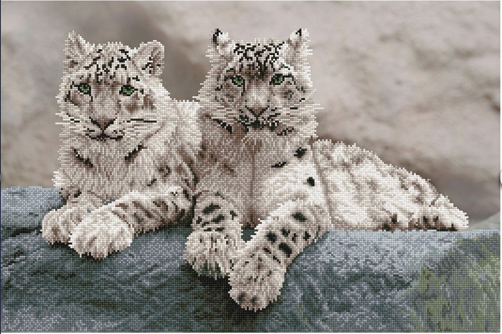 Snow Leopards Hemis National Park Diamond Dotz®