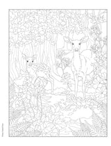 Forest & Woodland Wildlife Colouring Book