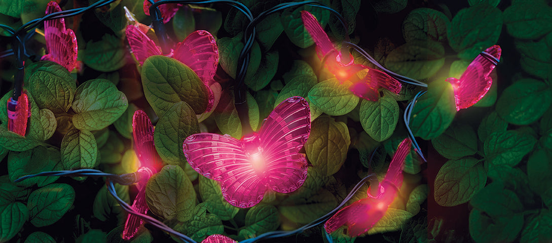 Solar Butterfly String Lights