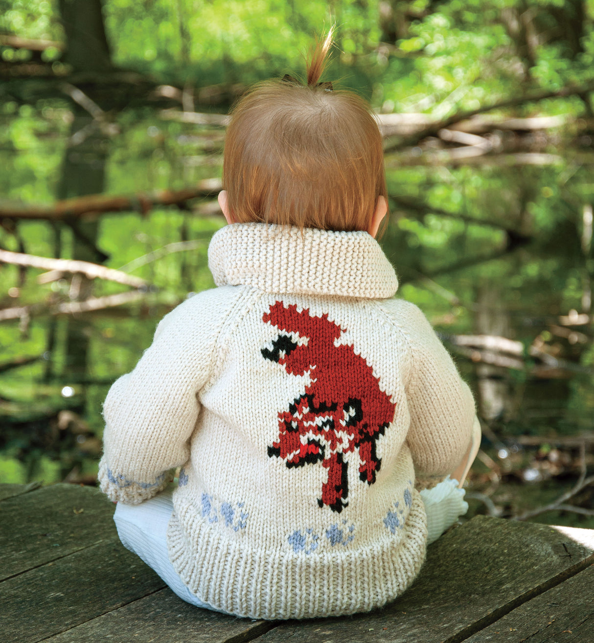 Child's Wolf Cardigan Knit Kit (Project Hail Mary Version)