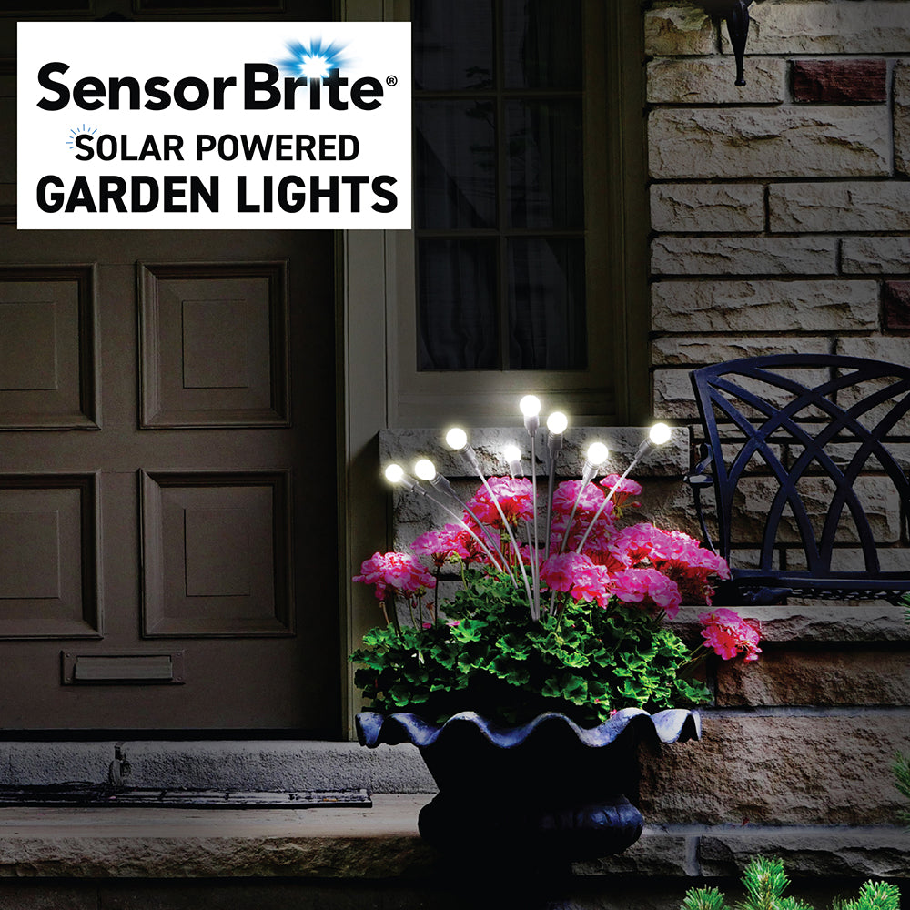 SensorBrite Solar Garden Lights