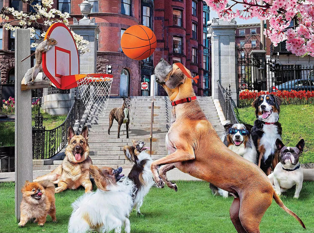 Shooting Hoops Jigsaw Puzzle