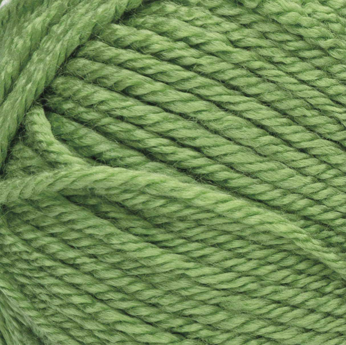 Remembering Bruges Throw