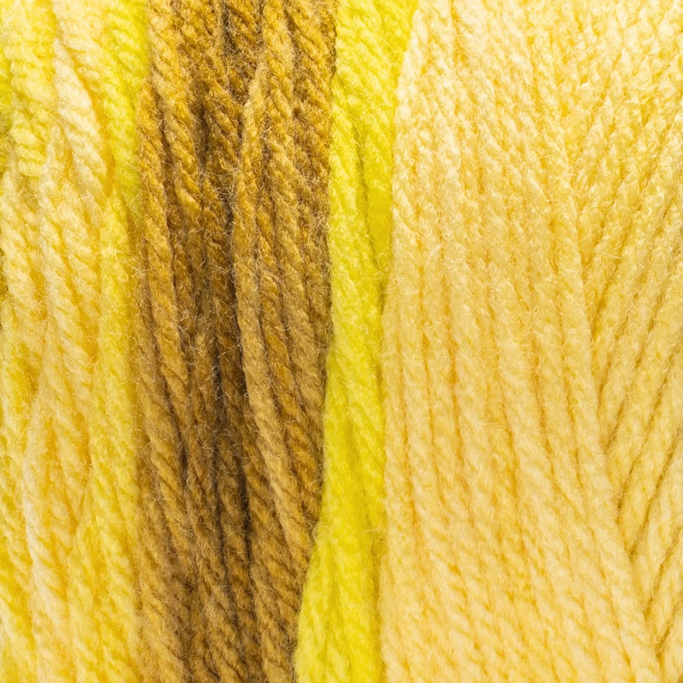 Red Heart Super Saver Ombre Yarn