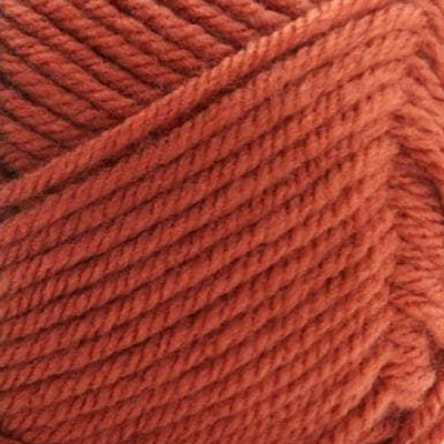 Premier Anti-Pilling Everyday Worsted Yarn