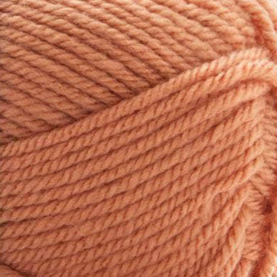 Premier Anti-Pilling Everyday Worsted Yarn