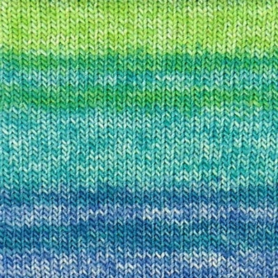 Estelle Evolution Sock Yarn