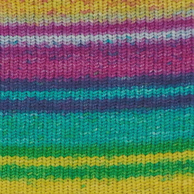 Estelle Evolution Sock Yarn