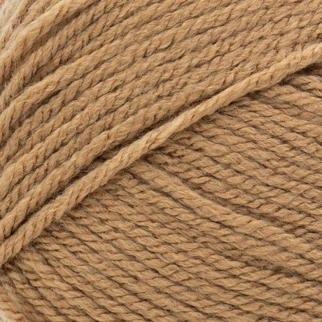 Lion Brand Basic Stitch Anti-Pilling 'Skein Tones' Yarn