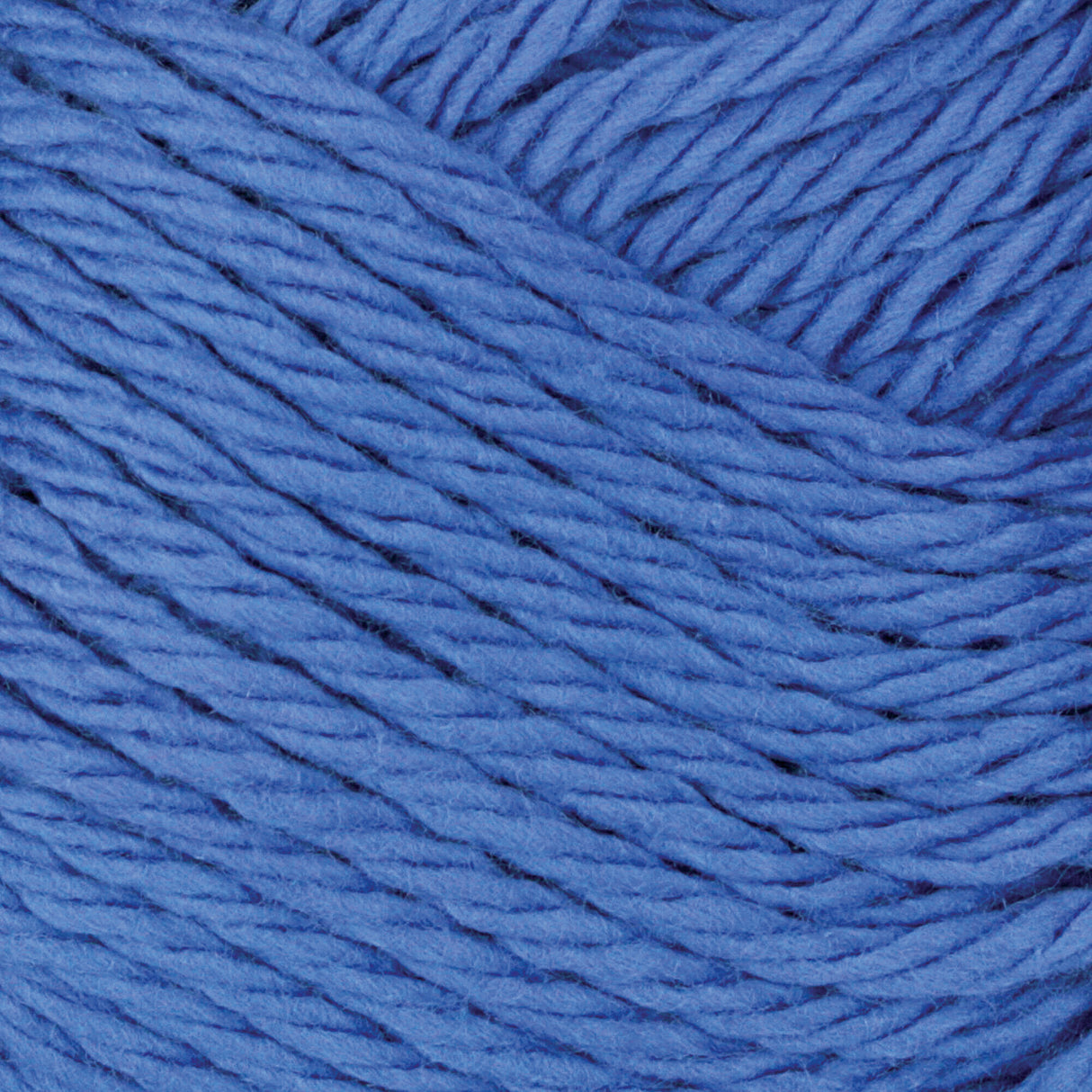 Lil' Dress Dish Towel Kit