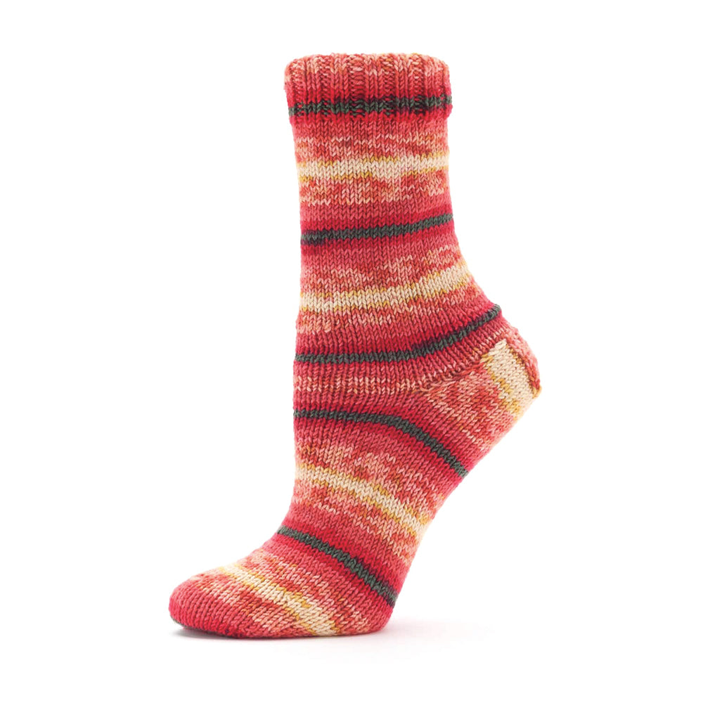 Premier Farmstand Sock Yarn
