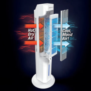 Arctic Air® Tower+