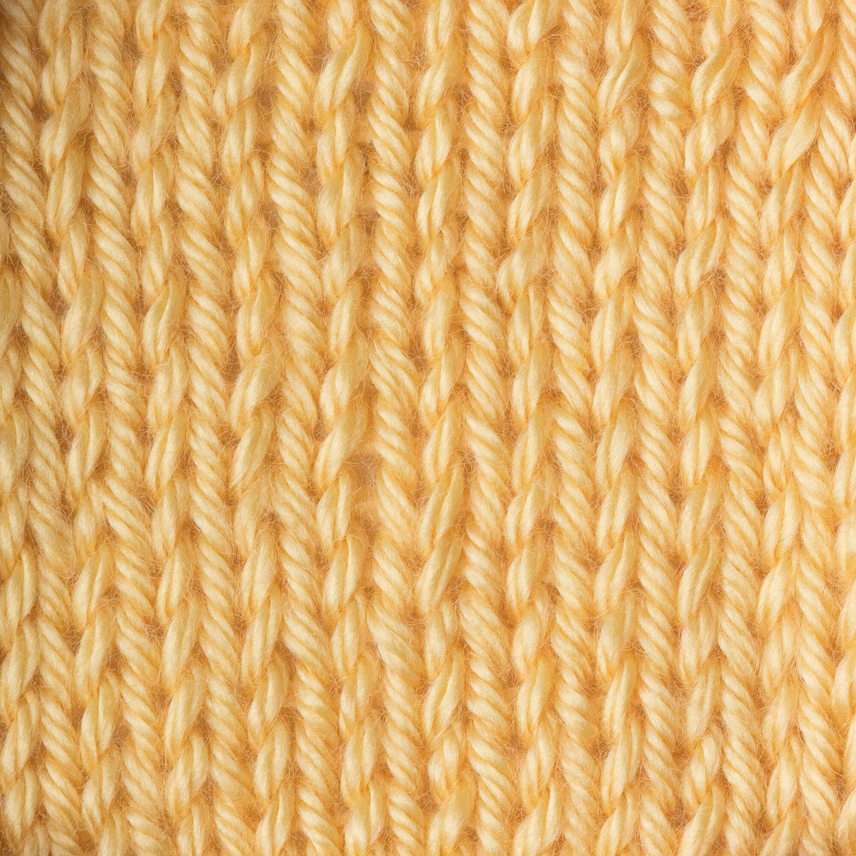 Caron Simply Soft Yarn