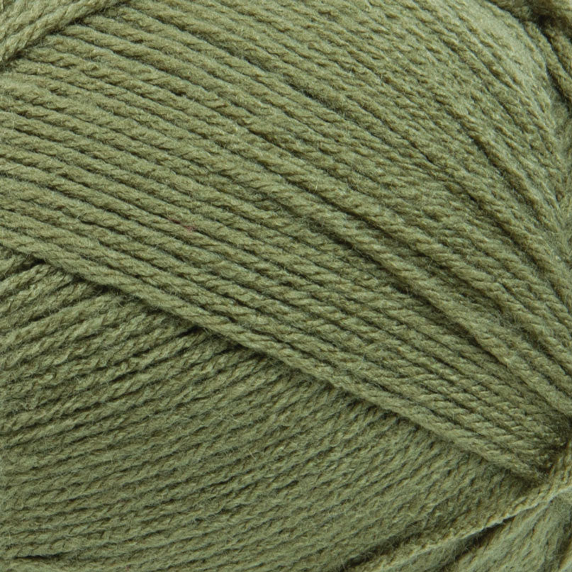 Big Twist Pound Plus Yarn