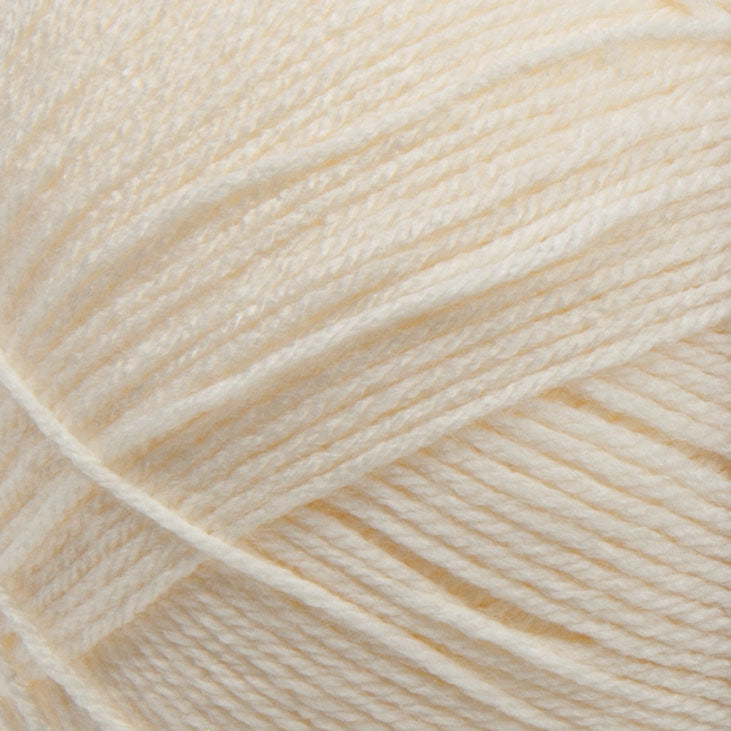 Big Twist Pound Plus Yarn