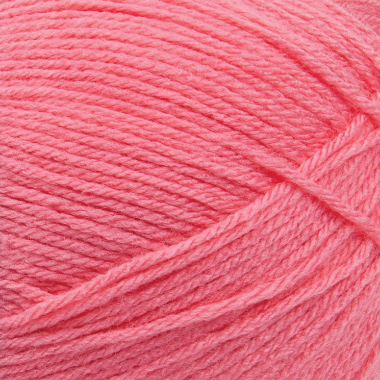 Big Twist Pound Plus Yarn