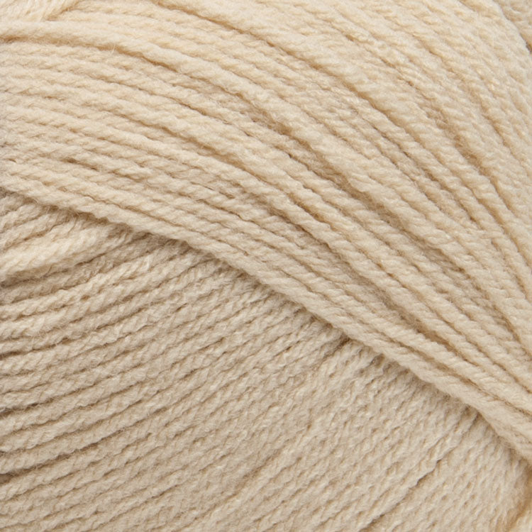 Big Twist Pound Plus Yarn