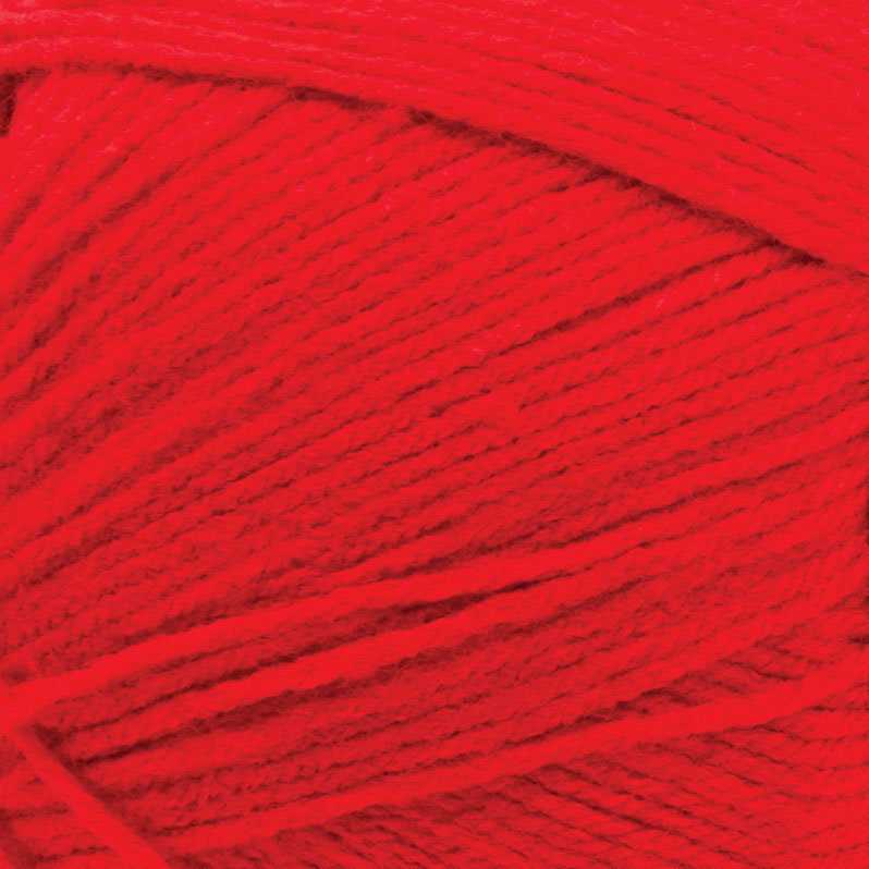 Big Twist Pound Plus Yarn