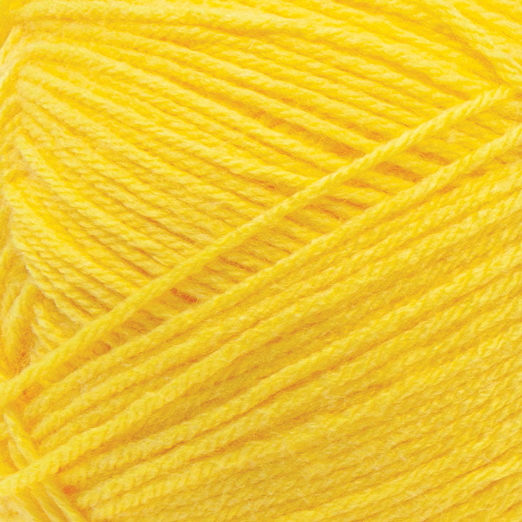 Big Twist Pound Plus Yarn