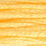 DMC Embroidery Floss _White, Ecru - 471