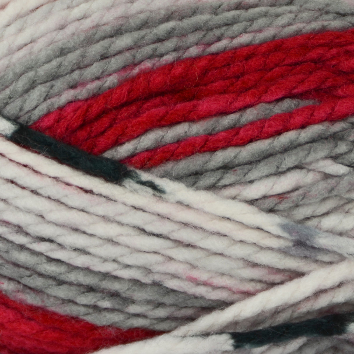 Premier Bloom Chunky Yarn