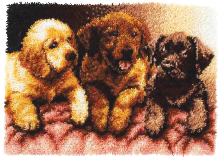 Kit de tapis à crochet pour chiots de laboratoire