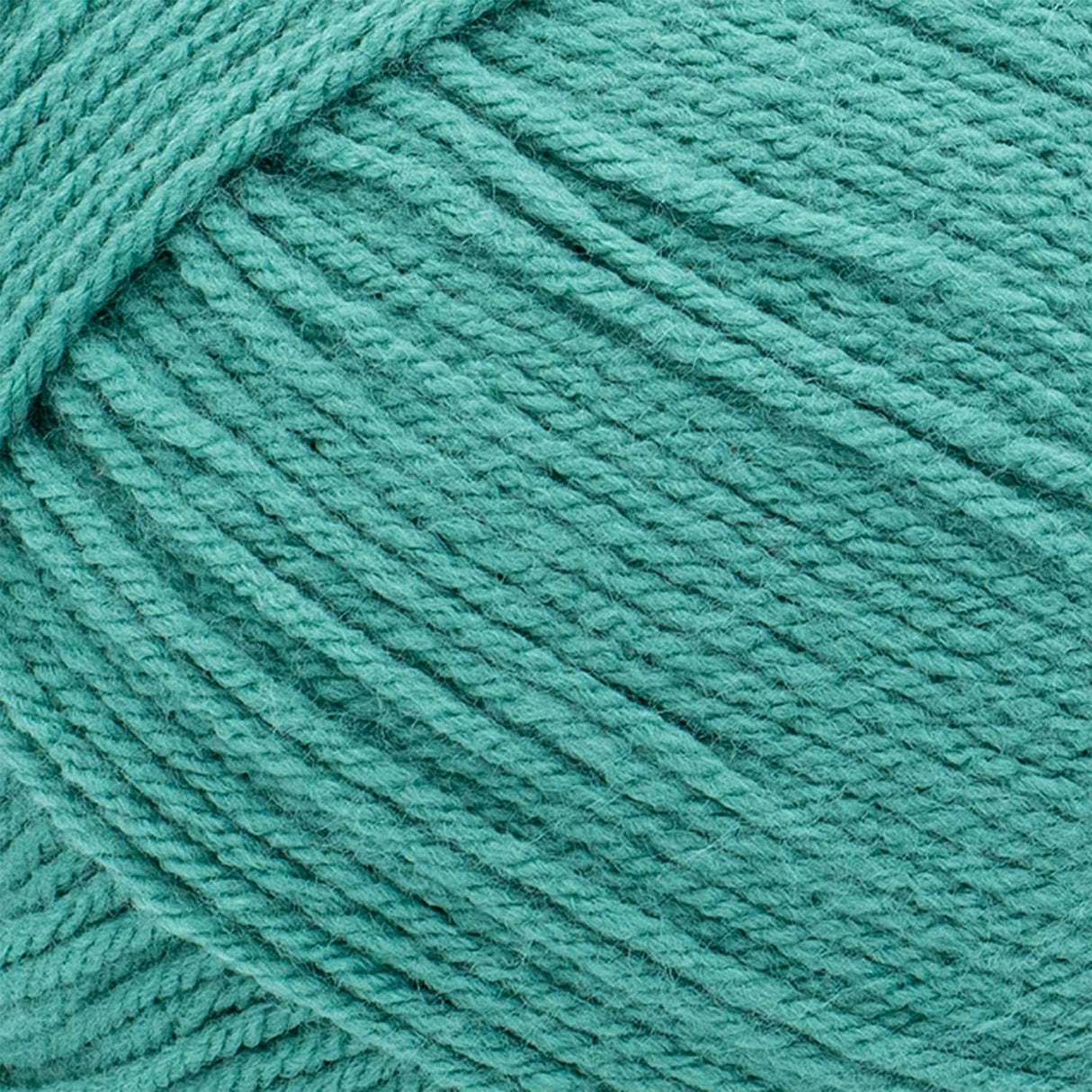 Lion Brand Pound of Love Yarn