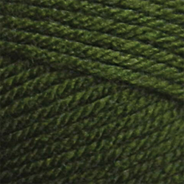 Premier Anti-Pilling Everyday Worsted Yarn