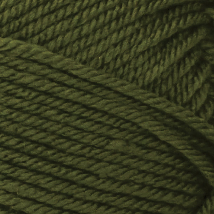 Premier Anti-Pilling Everyday Worsted Yarn